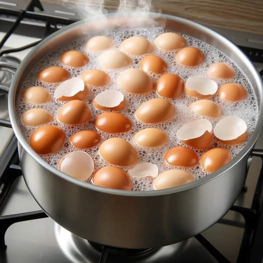 Boil Eggshells In A Saucepan