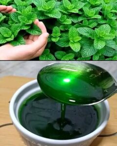 Magic Stain Remover Recipe