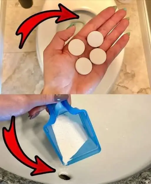 Keep Your Bathroom Smelling Fresh