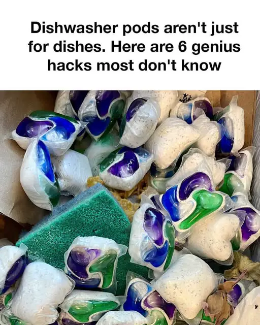 Whoa Had No Clue About This