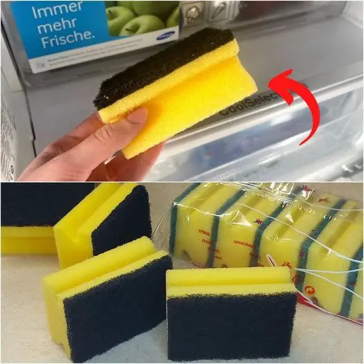 Fridge Hack You Wish You Knew