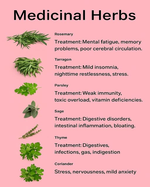 Medicinal Plants Natural Wellness Boosters