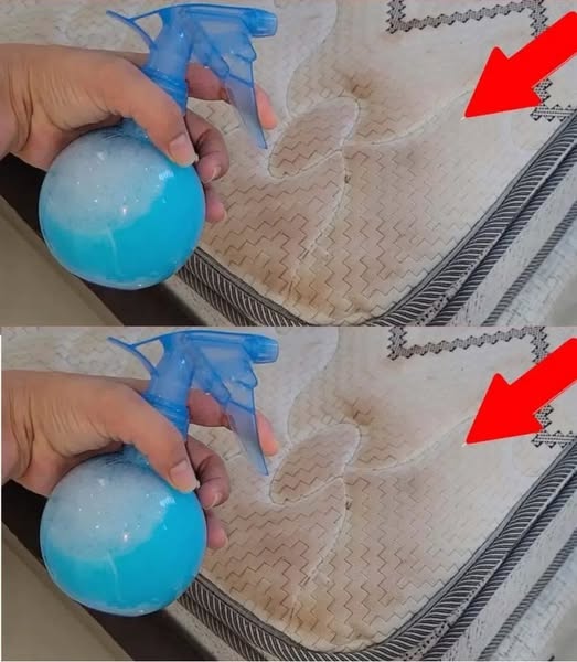 Removing Dirt Mould Odour From Mattresses