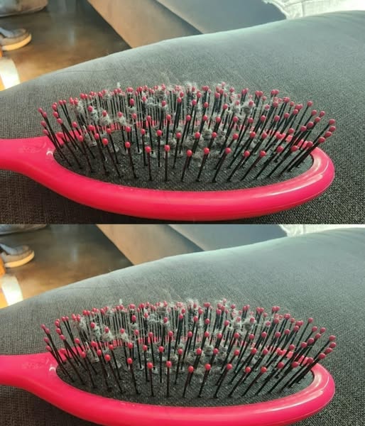 Gray Fuzz On Brushes Is Disgusting