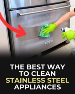 Make Stainless Steel Appliances Look New